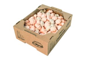 Gnieźnieńska beza kolor 300g